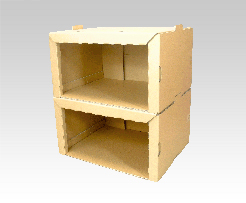 Cardboard Shelf