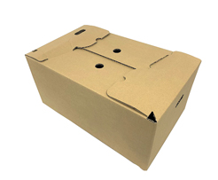 Cardboard Box for Shipping Lettuces